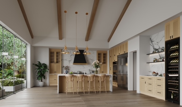 Corona Camera0010000