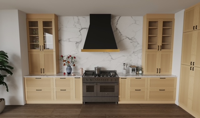 Corona Camera0040000