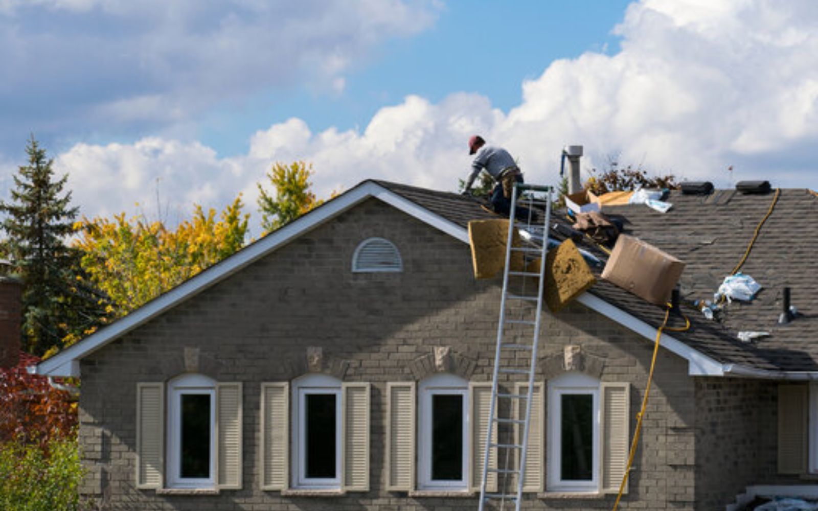 Structural Repair & Framing Contractors